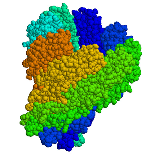Side view of the MSPA pore, from PDB file 1UUN